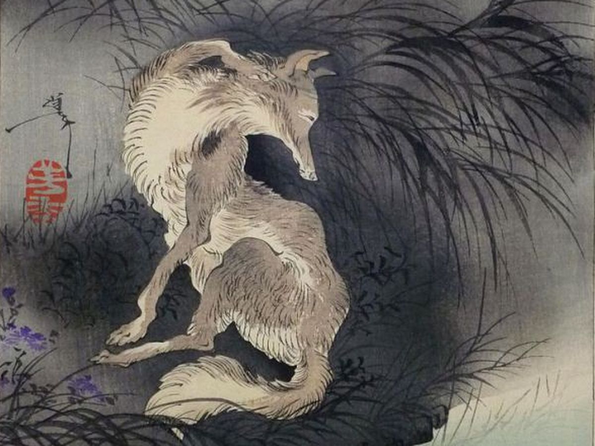 Kitsune: Makhluk Rubah Legendaris yang Menguasai Ilmu Sihir